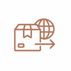 Icon depicting a package with a globe and arrow, representing international shipping capabilities